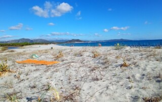 mit allen Werkzeugen, Wissen und FĂ€higkeiten, die mir selbst auf meinem SeelenWeg dienlich und wertvoll waren und sind